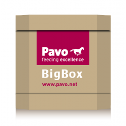 Les Big Box de Pavo